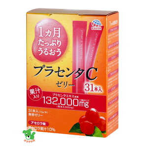 1Ղ肤邨vZ^C[[ AZ 10g×31{ - A[X