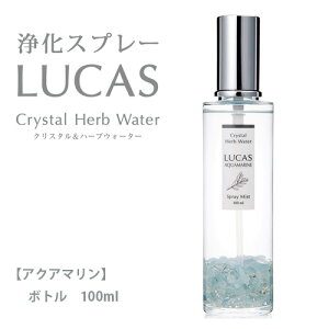 JX LUCAS 򉻃Xv[ ANA} {g 100ml - A[VXg [tHXgu[]
