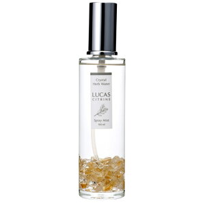 JX LUCAS 򉻃Xv[ Vg {g 100ml - A[VXg [tHXgu[]