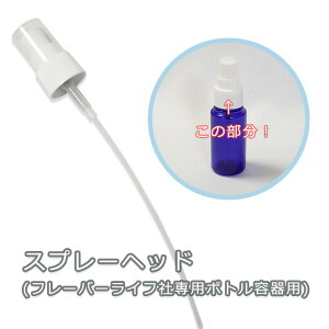 t[o[Ct Xv[wbh t[o[CtАpybg{gep