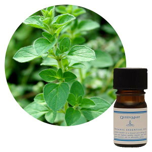 t[o[Ct NC[[  }WXC[g 5ml - t[o[Ct lR|XΉi