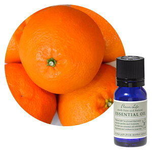 t[o[Ct FL  悩 10ml - t[o[Ct lR|XΉi