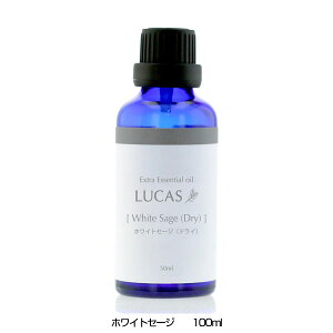 JX LUCAS GNXgEGbZVIC zCgZ[W 100ml - A[VXg