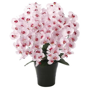 ̊y(2025N) v~AӒ7{ P iԁF656A250 F75cm - A[gNGCV [G}/lHϗtA]