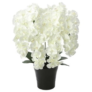 ̊y(2025N) v~AӒ7{ W iԁF658A250 F75cm - A[gNGCV [G}/lHϗtA]