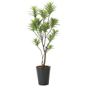 ̊y(2025N) tbVhZi iԁF2016A380 F180cm - A[gNGCV [G}/lHϗtA]