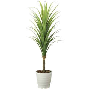 ̊y(2025N) hZi | iԁF2019A350 F180cm - A[gNGCV [G}/lHϗtA]