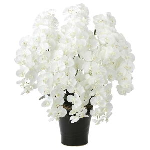 ̊y(2025N) v~AӒ10{W iԁF2046A350 F90cm - A[gNGCV [G}/lHϗtA]