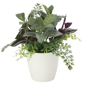 ̊y(2025N) ~bNXO[S iԁF2100A35 F28cm - A[gNGCV [G}/lHϗtA]