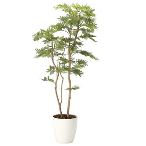 ̊y(2025N) l̖ | iԁF2105A360 F160cm - A[gNGCV [G}/lHϗtA]