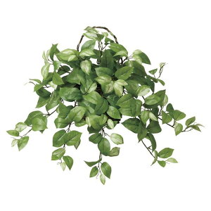 ̊y(2025N) Ǌ|z iԁF268A60 F50cm - A[gNGCV [G}/lHϗtA]