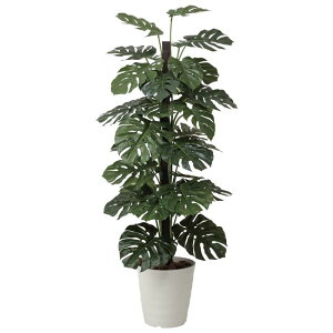 ̊y(2025N) Xe iԁF403G450 F180cm - A[gNGCV [G}/lHϗtA]