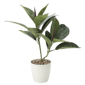 ̊y(2025N) Sm iԁF637G50 F47cm - A[gNGCV [G}/lHϗtA]