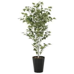 ̊y(2025N) 1.4 iԁF607K275 F140cm - A[gNGCV [G}/lHϗtA]