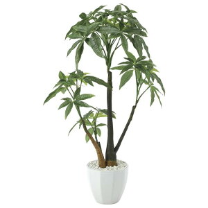 ���̊y��(2025�N��) �p�L���|�b�gL �i�ԁF629K90 �����F55cm - �A�[�g�N���G�C�V���� [���G�}/�l�H�ϗt�A��]