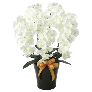 ̊y(2025N) v~AӒ5{W iԁF651K200 F75cm - A[gNGCV [G}/lHϗtA]