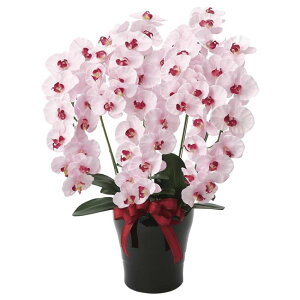 ̊y(2025N) v~AӒ5{P iԁF652K200 F75cm - A[gNGCV [G}/lHϗtA]