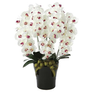 ̊y(2025N) v~AӒ5{W/AB iԁF653K200 F75cm - A[gNGCV [G}/lHϗtA]