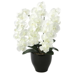 ̊y(2025N) v~AӒW iԁF659K135 F68cm - A[gNGCV [G}/lHϗtA]