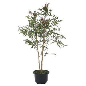 ̊y(2025N) V1.0 iԁF734K165 F100cm - A[gNGCV [G}/lHϗtA]