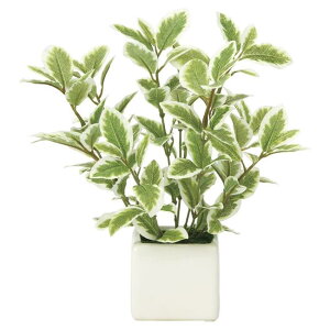 ���̊y��(2026�N��) �~�j���[�tGW �i�ԁF935K28 �����F21cm - �A�[�g�N���G�C�V���� [���G�}/�l�H�ϗt�A��]