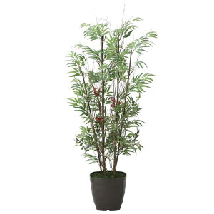 ̊y(2025N) |V iԁF2010K300 F160cm - A[gNGCV [G}/lHϗtA]