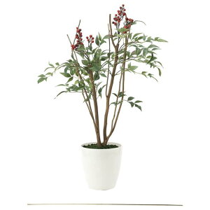 ̊y(2025N) V iԁF2012K80 F70cm - A[gNGCV [G}/lHϗtA]