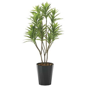 ̊y(2025N) tbVhZi iԁF2018K225 F120cm - A[gNGCV [G}/lHϗtA]