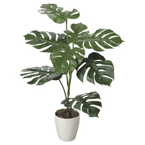 ̊y(2025N) Xe iԁF207K140 F100cm - A[gNGCV [G}/lHϗtA]