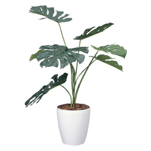 ̊y(2025N) Xe90 iԁF213K130 F90cm - A[gNGCV [G}/lHϗtA]