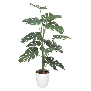 ̊y(2025N) Xe1.2 iԁF369K220 F120cm - A[gNGCV [G}/lHϗtA]