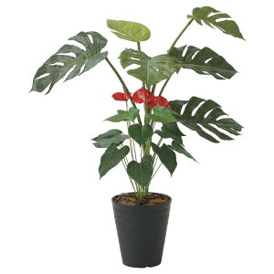 ̊y(2025N) XeAX[ iԁF203H140 F95cm - A[gNGCV [G}/lHϗtA]