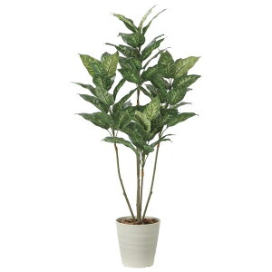 ̊y(2025N) fBtFoLA iԁF2220A200 F135cm - A[gNGCV [G}/lHϗtA]