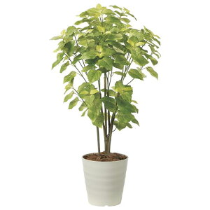 ���̊y��(2025�N��) �y���[�� �i�ԁF2225A150 �����F100cm - �A�[�g�N���G�C�V���� [���G�}/�l�H�ϗt�A��]