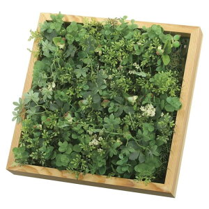 ̊y(2025N) Ǌ|Ebh{bNX iԁF2226A100 F10cm - A[gNGCV [G}/lHϗtA]