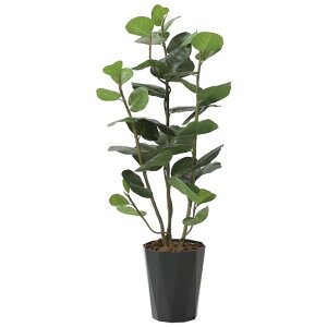 ̊y(2025N) V[O[vDX iԁF2243A240 F125cm - A[gNGCV [G}/lHϗtA]