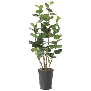 ̊y(2025N) V[O[vDX iԁF2244A320 F170cm - A[gNGCV [G}/lHϗtA]