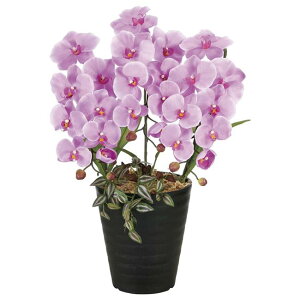 ̊y(2025N) vZXӒL iԁF2265K60 F58cm - A[gNGCV [G}/lHϗtA]