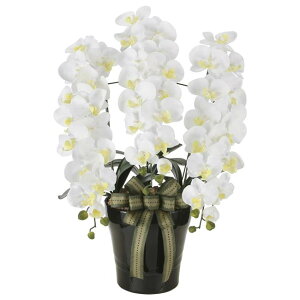 ̊y(2025N) CӒW iԁF2291A200 F76cm - A[gNGCV [G}/lHϗtA]