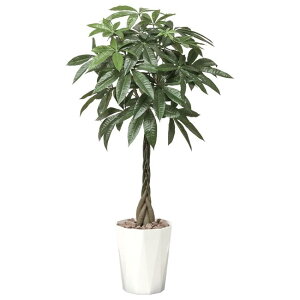 ���̊y��(2025�N��) �p�L��1.25 �i�ԁF510K320 �����F125cm - �A�[�g�N���G�C�V���� [���G�}/�l�H�ϗt�A��]