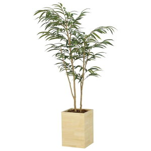 ̊y(2025N) Ebh{bNXVEiS iԁF2300A580 F180cm - A[gNGCV [G}/lHϗtA]