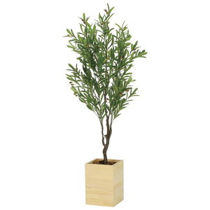 ̊y(2025N) Ebh{bNXI[u iԁF2310A450 F160cm - A[gNGCV [G}/lHϗtA]