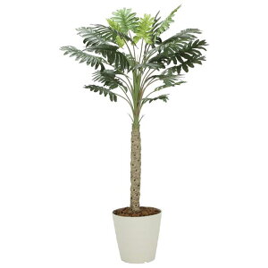 ̊y(2025N) Z[ iԁF2312A300 F180cm - A[gNGCV [G}/lHϗtA]