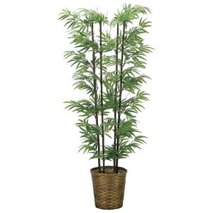 ̊y(2025N) |(:VR|) iԁF2315A300 F160cm - A[gNGCV [G}/lHϗtA]