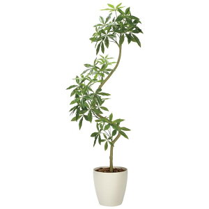 ̊y(2025N) cCXgpL(g) iԁF2336A780 F210cm - A[gNGCV [G}/lHϗtA]