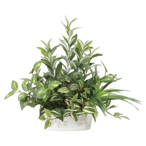 ̊y(2025N) ZAGI[u iԁF2348A100 F50cm - A[gNGCV [G}/lHϗtA]