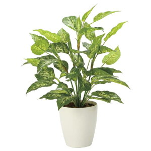 ̊y(2025N) tbVfBtFoLAL iԁF2353A85 F60cm - A[gNGCV [G}/lHϗtA]