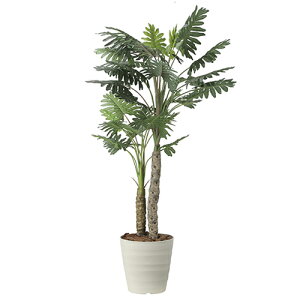 ̊y(2025N) Z[W iԁF2441A360 F180cm - A[gNGCV