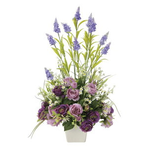 ̊y(2025N) \tBAx_? iԁF2113P100 F54cm - A[gNGCV [G}/lHϗtA]