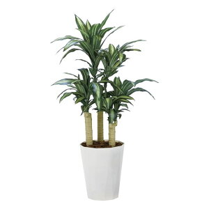 ̊y(2025N) K̖1.3 iԁF2316P280 F130cm - A[gNGCV [G}/lHϗtA]